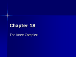 The Knee Complex
