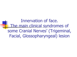 02. Face innervations