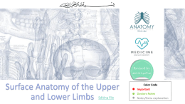 22-Surface Anatomy of the Upper and Lower Limbsx2017-01