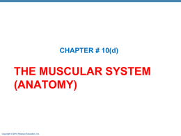 ch_10_lecture_outline_d