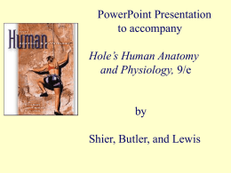 to accompany Holes` Essentials of Human Anatomy and Physiology