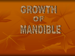 growth of mandible