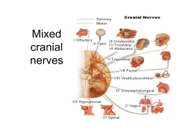 26. Mixed cranial nervest