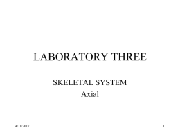 lab 3 - axial Lecture Notes Page