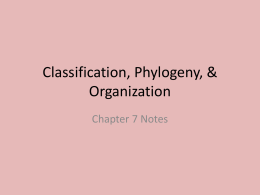 Chapter 7 Notes - Herscher CUSD #2