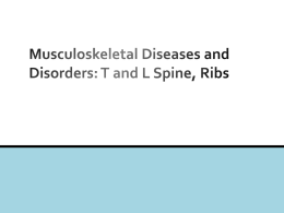 T and L Spine, Ribs - homepages.umflint.edu