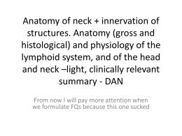 Anatomy of neck + innervation of structures. Anatomy (gross