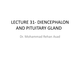 LECTURE 31- DIENCEPHALON AND PITUITARY GLAND