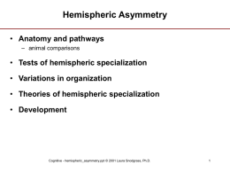 Hemispheric Asymmetry