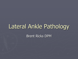 Lateral Ankle