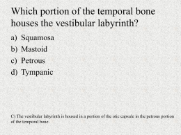 Which portion of the temporal bone houses the vestibular labyrinth?