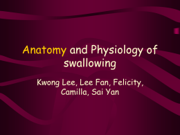 Anatomy and Mechanism of swallowing