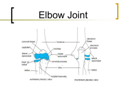 Elbow_Joint_chp_10