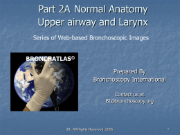 Part 2A - Normal Anatomy Upper Airway and Larynx