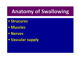 PALATE - medscistudents