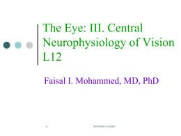 The Eye: III. Central Neurophysiology of Vision