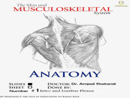 الجهاز الحركي الهيكلي THE MUSCOLUSKELETAL SYSTEM