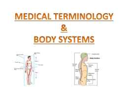 MEDICAL TERMINOLOGY & BODY SYSTEMS