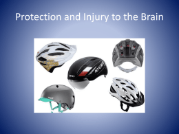 Protection and Injury to the Brain