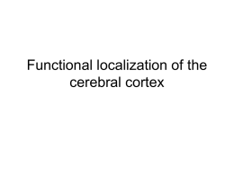 Functional localization of the cerebral cortex