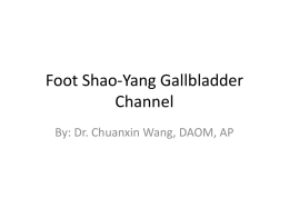 Foot Shao-Yang Gallbladder Channel