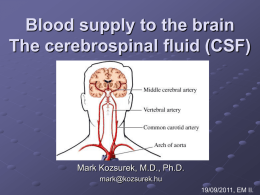 Blood supply to the brain The cerebrospinal fluid (CSF)