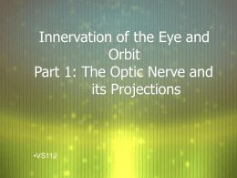 Innervation of the Eye and Orbit