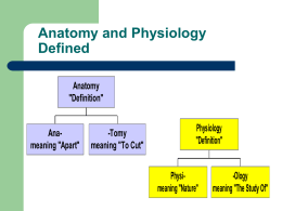 Anatomy and Physiology Defined
