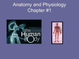 Anatomy and Physiology Chapter #1