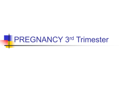PREGNANT FEMALE 3rd Trimester