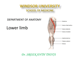 WINDSOR UNIVERSITY SCHOOL OF MEDICINE