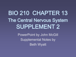 BIO 210 CHAPTER 13 THE CNS SUPPLEMENT 2