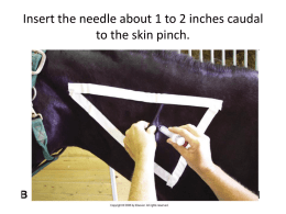 Insert the needle about 1 to 2 inches caudal to the skin