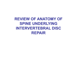 Anatomy of Cervical Spine and Intervertebral Disc Repair