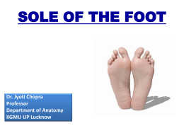 Sole Of The Foot - King George's Medical University