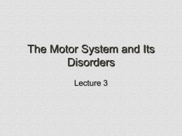 Motor System and Disorders