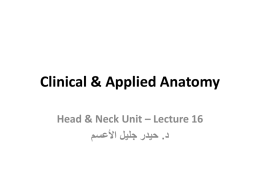 The Head & Neck - Karbala Medical College / Anatomy