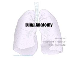 Lung Anatomy - Learning