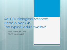 SALC07 Biological Sciences Head & Neck 4: Normal Swallow