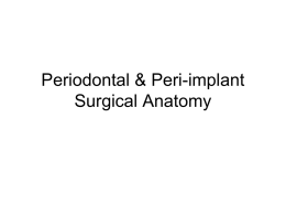 Periodontal and Periimplant Surgical Anatomy