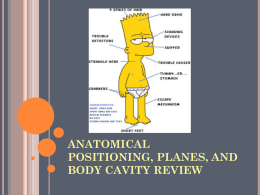 Anatomical Positioning Review