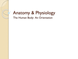 Anatomy & Physiology