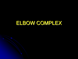 ELBOW COMPLEX