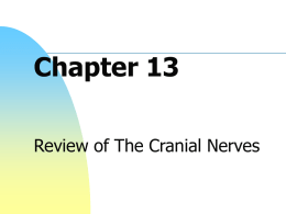Cranial Nerve Review