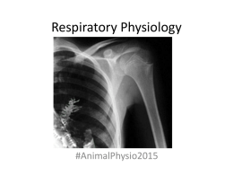 Respiratory AnimPhysio20151