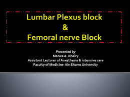 Lumb plexus femoral