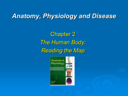 Anatomy, Physiology and Disease