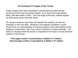 Thorax: CT, axial sections