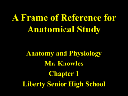 Chapter 1 Anatomical Frames of Reference