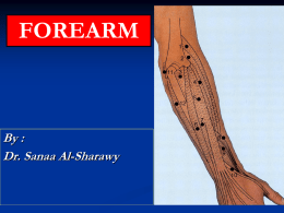 Lecture 9 - Forearm